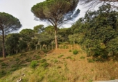 Parcela urbanizable en venta en la España, Lloret de Mar, ref: TR330181 foto