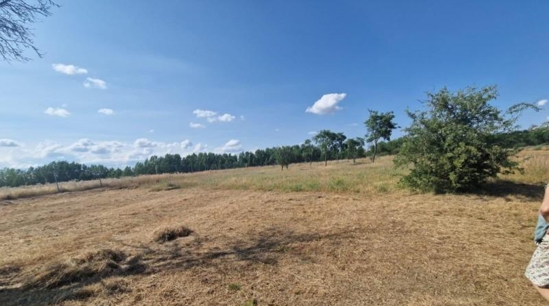 León - Valencia de Don Juan - 1500m2