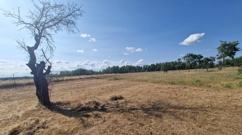 León - Valencia de Don Juan - 1500m2