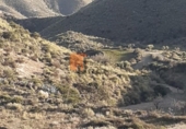 Casa de campo con terreno en venta en la España, Águilas, ref: TR399793 foto