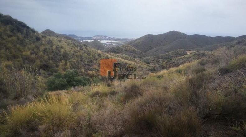 Murcia - Águilas - 230000m2