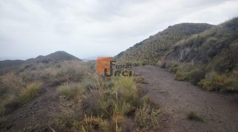 Murcia - Águilas - 230000m2