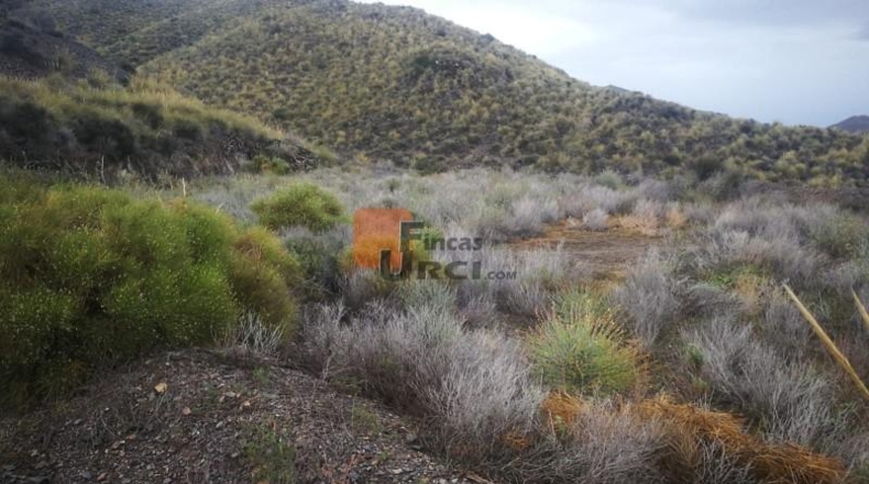Murcia - Águilas - 230000m2