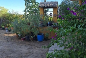 Foto 15