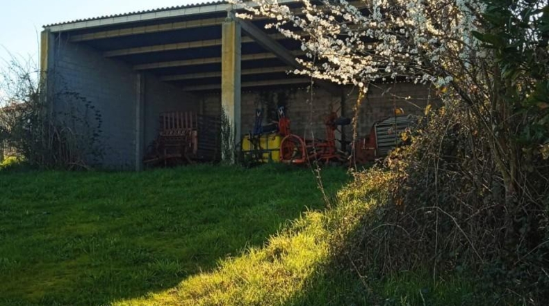 Pontevedra - Silleda - 2000m2