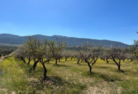 Dílar 66535&nbsp;m²