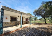 Chalet independiente con terreno en venta en la España, Villanueva del Duque, ref: TR411896 foto