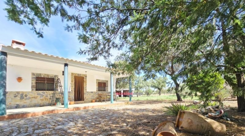 Córdoba - Villanueva del Duque - 15000m2