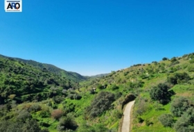 Málaga 35000&nbsp;m²