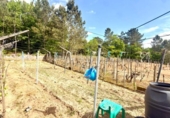 Casa de pueblo en venta en la España, Cortegada, ref: TR403901 foto