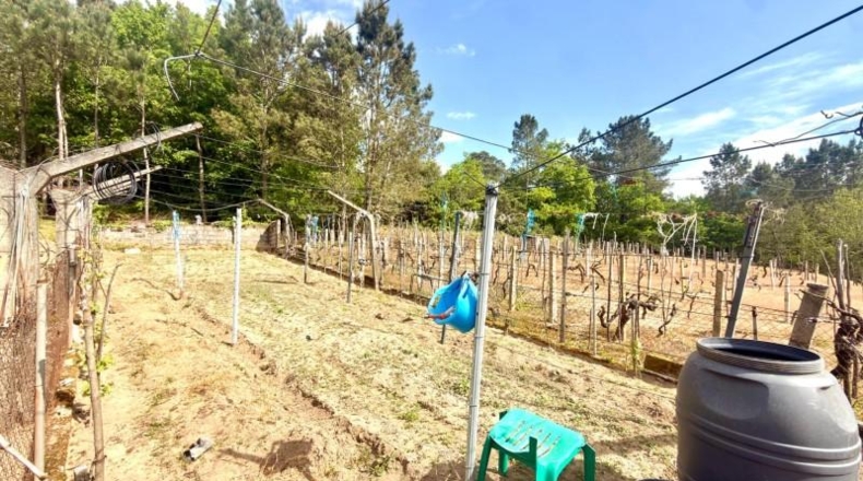 Orense - Cortegada - 400m2