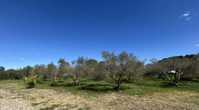Navarra - Tudela - 2695m2