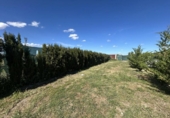 Casa de campo con terreno en venta en la España, Tudela, ref: TR403598 foto
