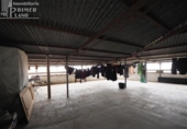Дом с участком на продажу в городе Томельосо Фото