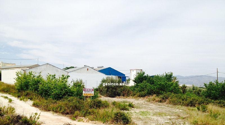Valencia - Agullent - 2853m2