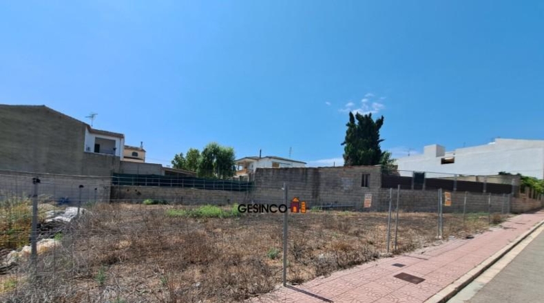 València - Lugar Nuevo de Fenollet - 630m2