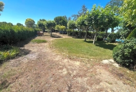 Calvarrasa de Arriba 10000&nbsp;м²