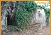 Casa con terreno en venta en la España, San Cibrao das Viñas, ref: TR299383 foto