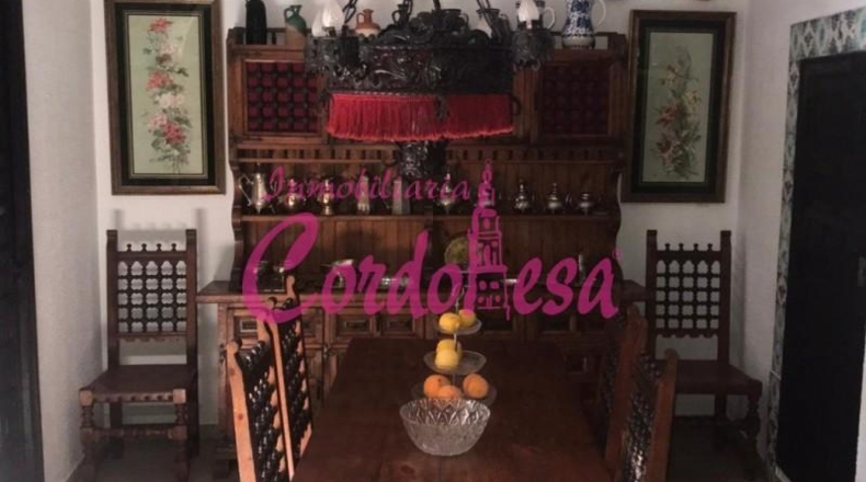 Cordova - Villaviciosa de Córdoba - 284m2