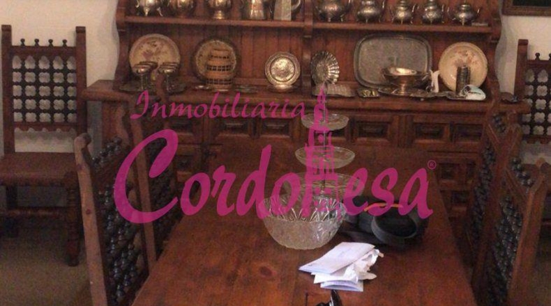 Cordova - Villaviciosa de Córdoba - 284m2
