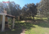 Chalet independiente con terreno en venta en la España, Villanueva del Duque, ref: TR142141 foto