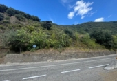 Detached villa with land for sale on España, Villafranca del Bierzo, ref: TR136776 photo