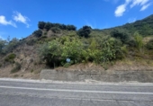 Detached villa with land for sale on España, Villafranca del Bierzo, ref: TR136776 photo