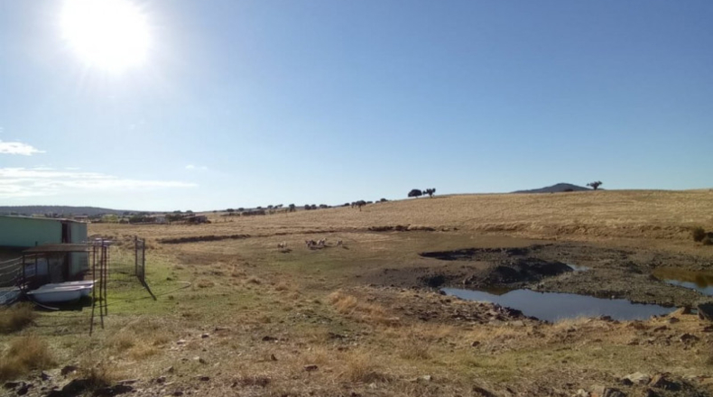 Cáceres - Cáceres - 65m2