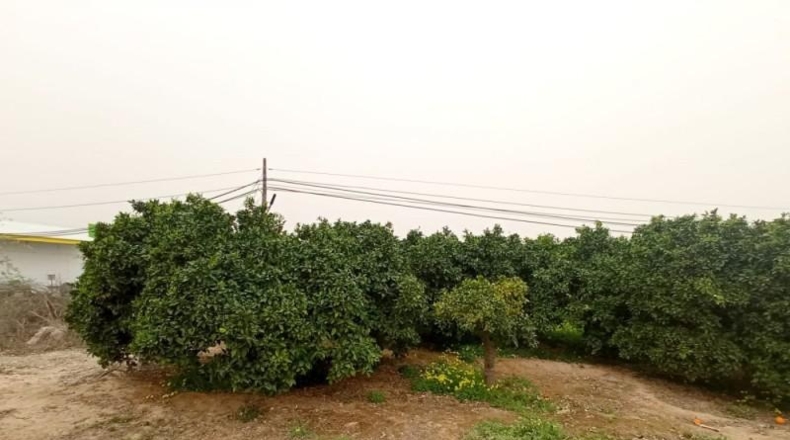 Múrcia - Santomera - 5100m2
