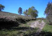 Chalet independiente con terreno en venta en la España, Pazos, ref: TR236945 foto