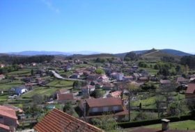 Foto 15