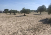 Terreno no urbanizable en venta en la España, Almansa, ref: TR124171 foto