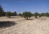 Terreno no urbanizable en venta en la España, Almansa, ref: TR124171 foto
