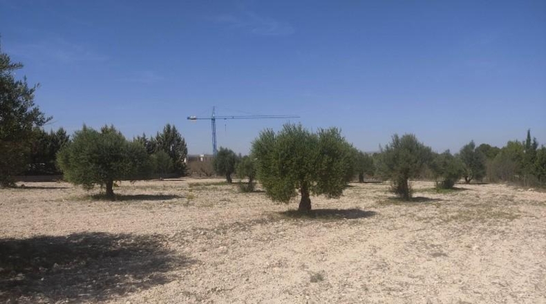 Albacete - Almansa - 16000m2