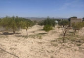 Terreno no urbanizable en venta en la España, Almansa, ref: TR124171 foto