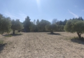 Terreno no urbanizable en venta en la España, Almansa, ref: TR124171 foto
