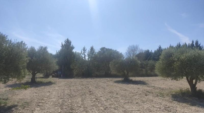 Albacete - Almansa - 16000m2