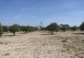Terreno no urbanizable en venta en la España, Almansa, ref: TR124171 foto