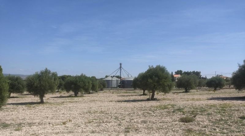 Albacete - Almansa - 16000m2