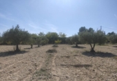 Terreno no urbanizable en venta en la España, Almansa, ref: TR124171 foto