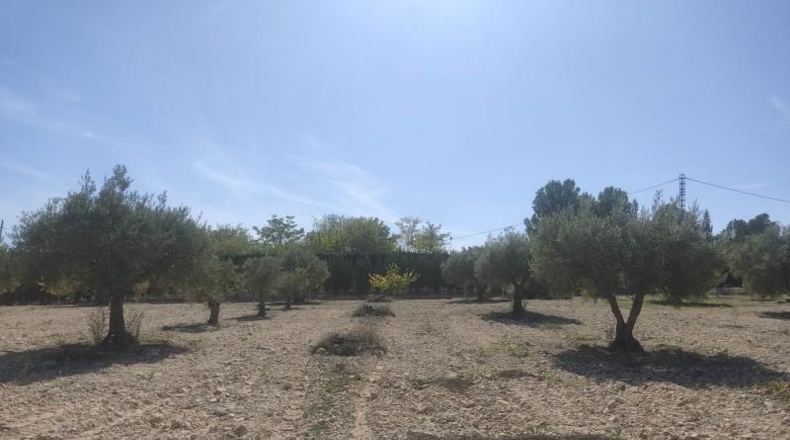 Albacete - Almansa - 16000m2