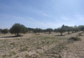 Terreno no urbanizable en venta en la España, Almansa, ref: TR124171 foto