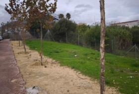 San Roque 1267&nbsp;m²