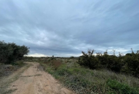 Cambrils 4657&nbsp;m²