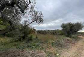 Cambrils 4657&nbsp;m²
