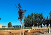 Suelo urbano en venta en la España, la Pobla de Mafumet, ref: TR384554 foto