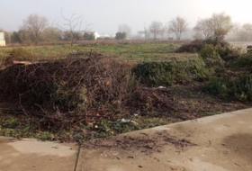 Arganda del Rey 554&nbsp;м²