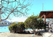 Village house for sale on España, Lorca, ref: TR399426 photo