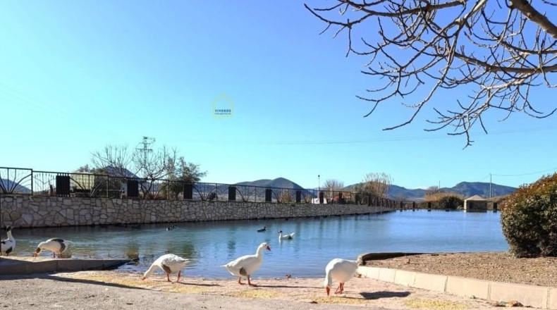 Murcia - Lorca - 90m2