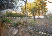 Casa de campo con terreno en venta en la España, Alcolea, ref: TR385136 foto